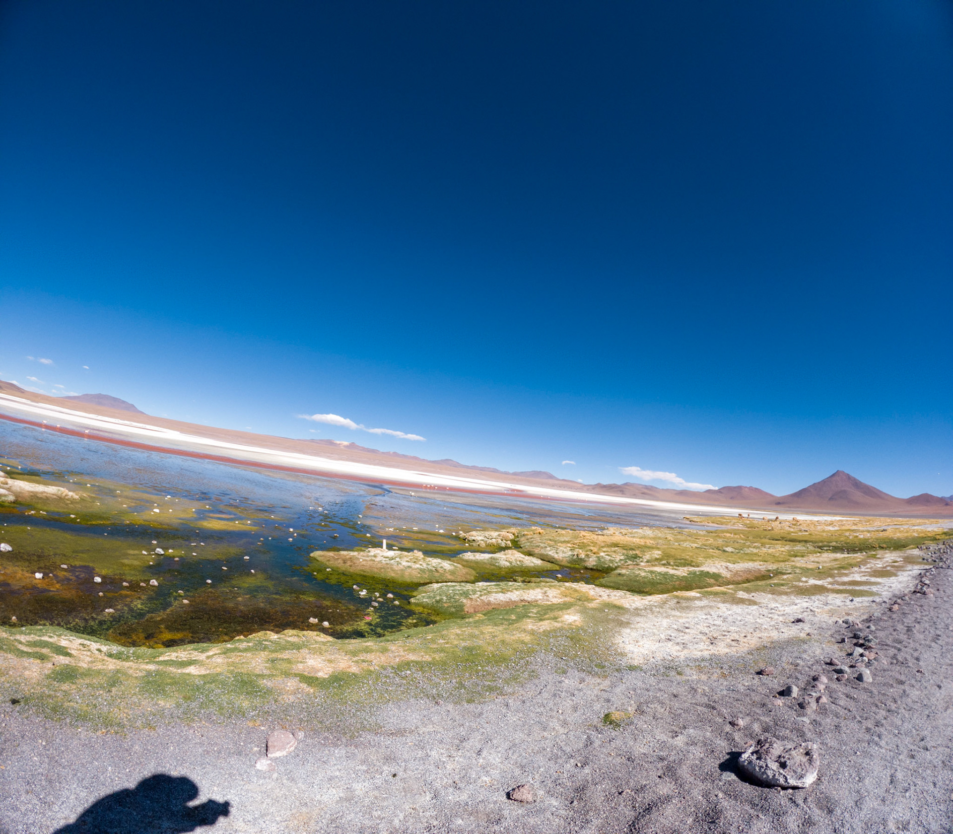 C:\DCIM\100GOPRO\G0011346.GPR