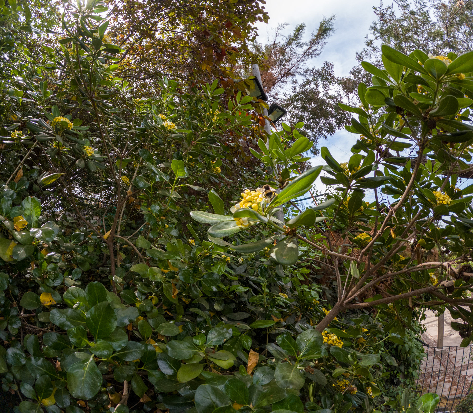 C:\DCIM\100GOPRO\GOPR0707.GPR