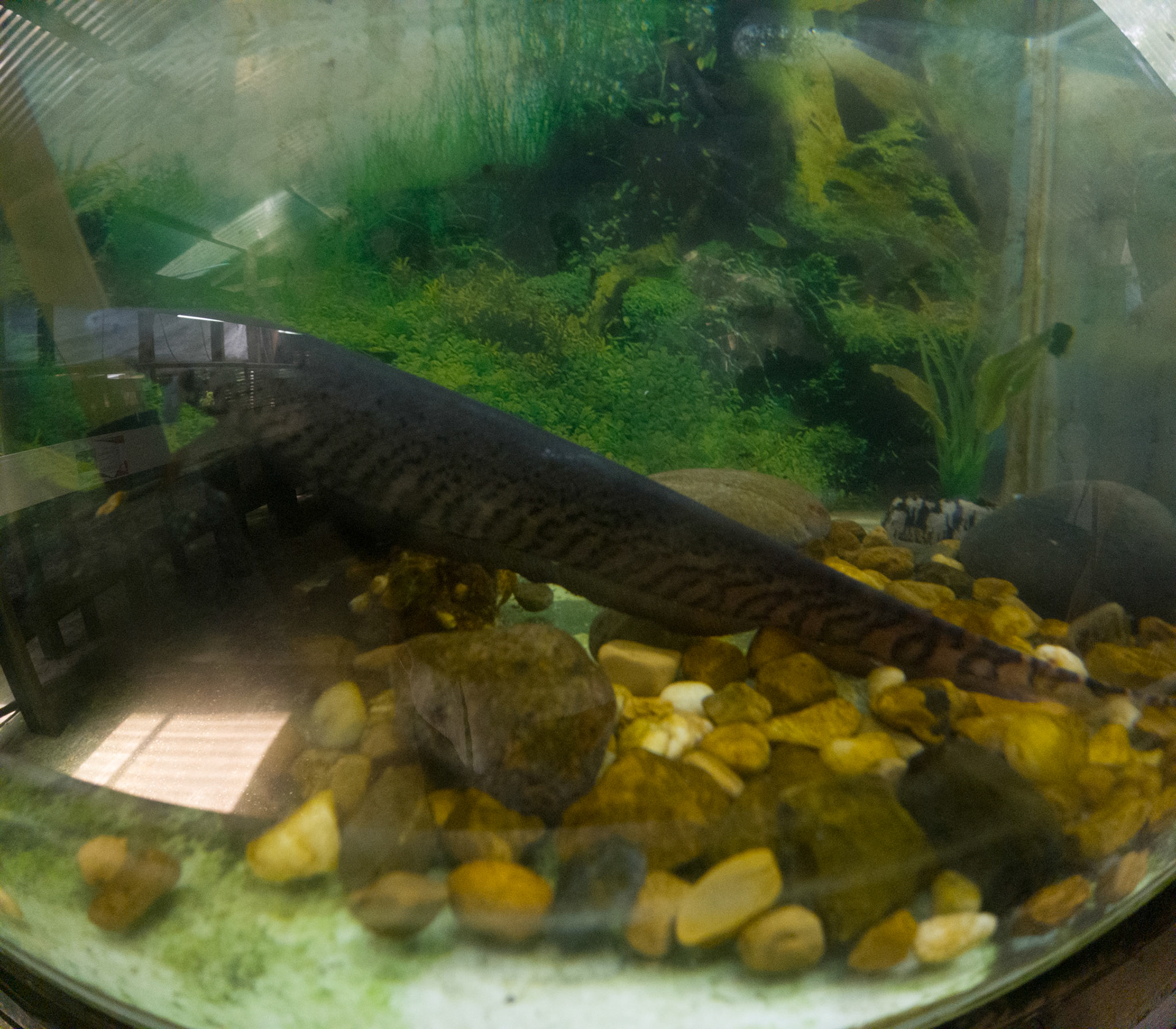 C:\DCIM\100GOPRO\GOPR2435.GPR