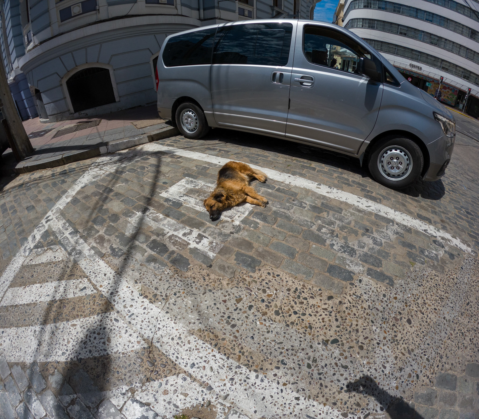 C:\DCIM\100GOPRO\GOPR0989.GPR