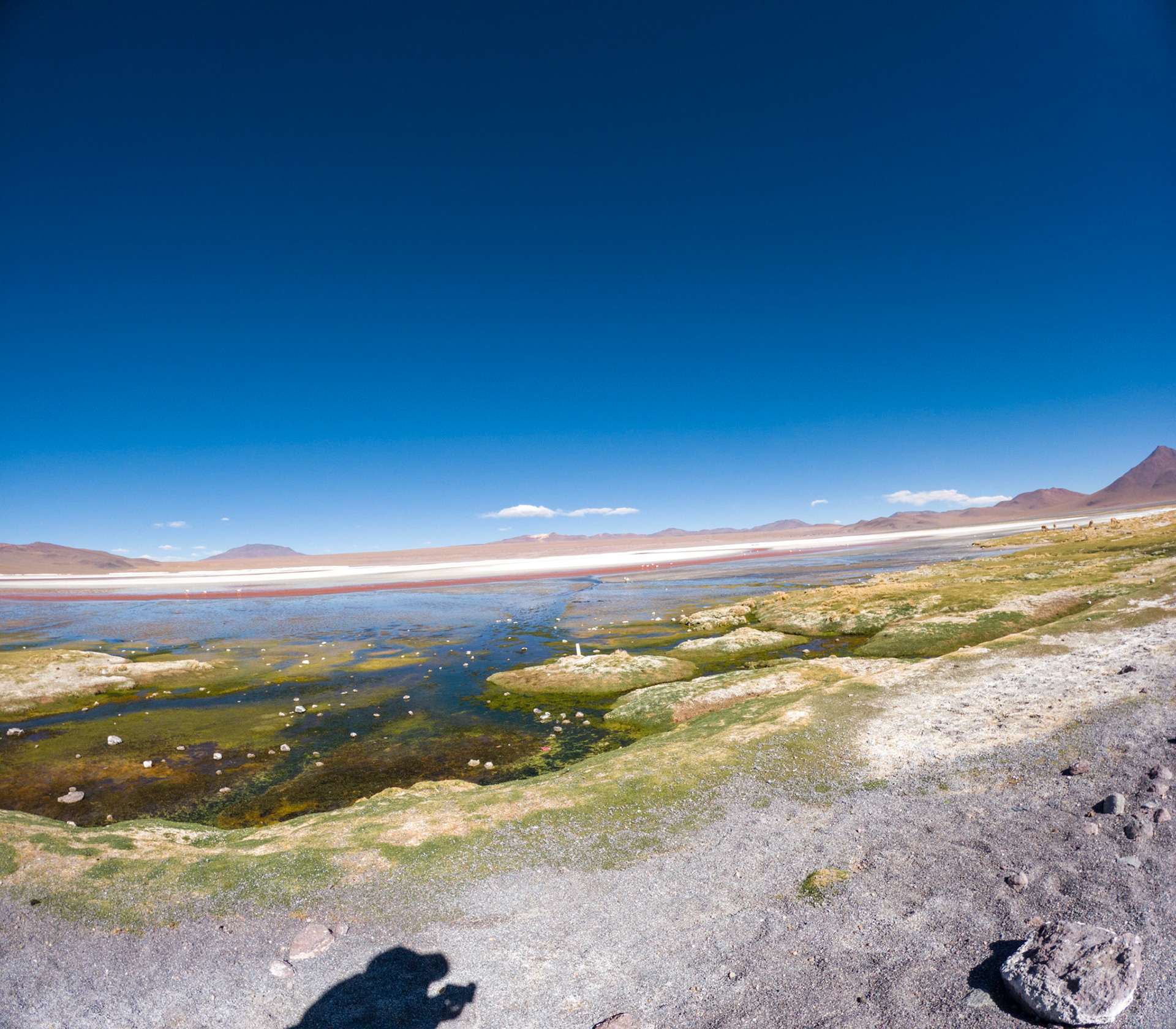 C:\DCIM\100GOPRO\G0011372.GPR