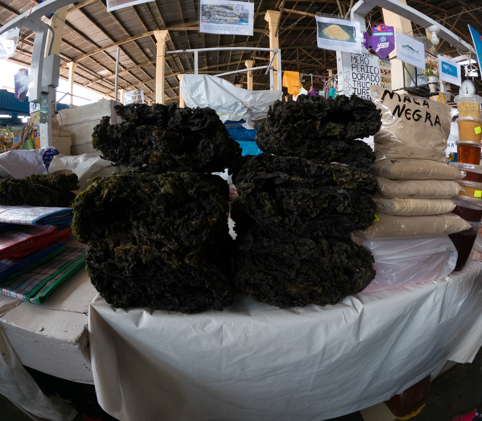 C:\DCIM\100GOPRO\GOPR1791.GPR