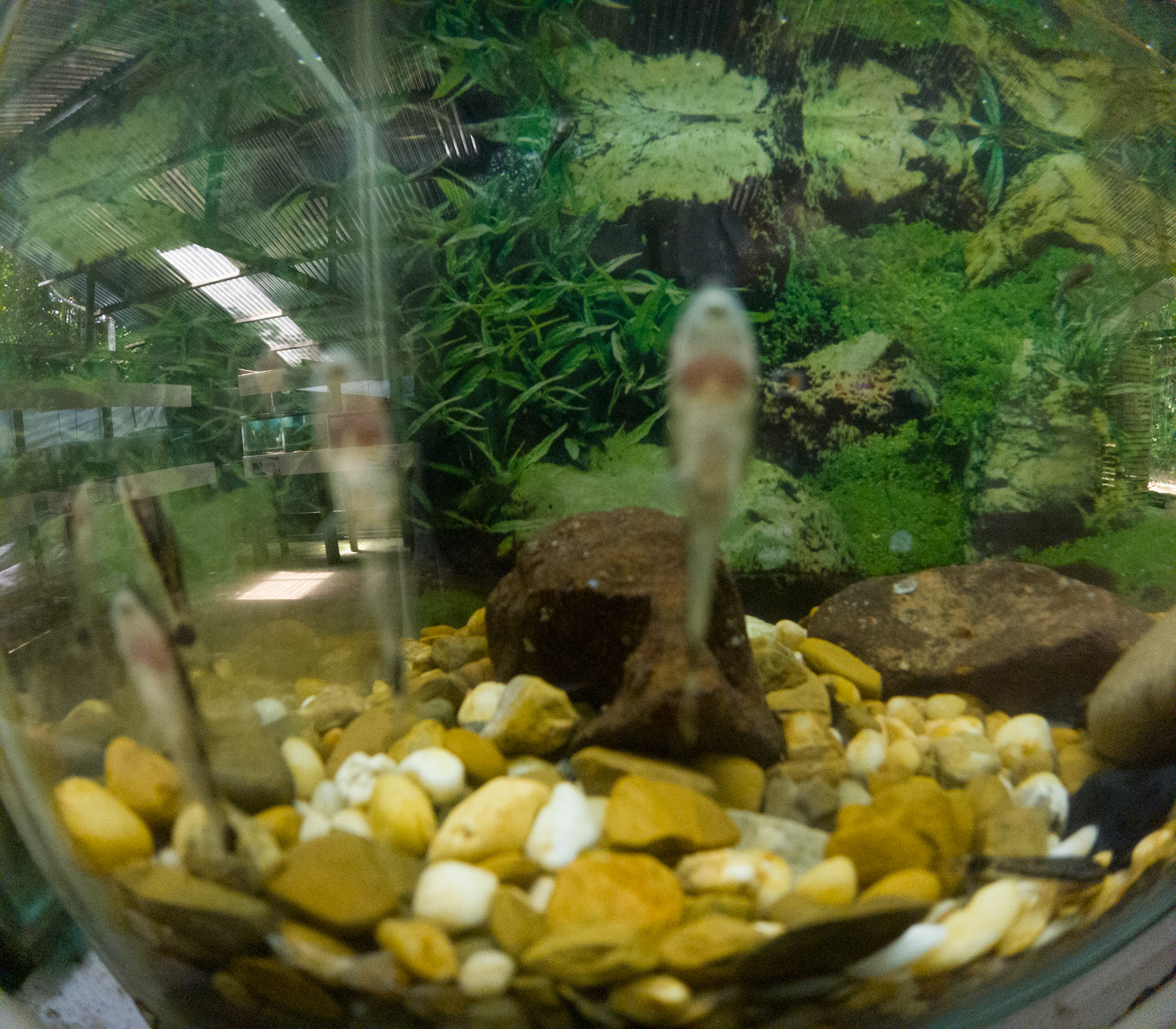 C:\DCIM\100GOPRO\GOPR2433.GPR