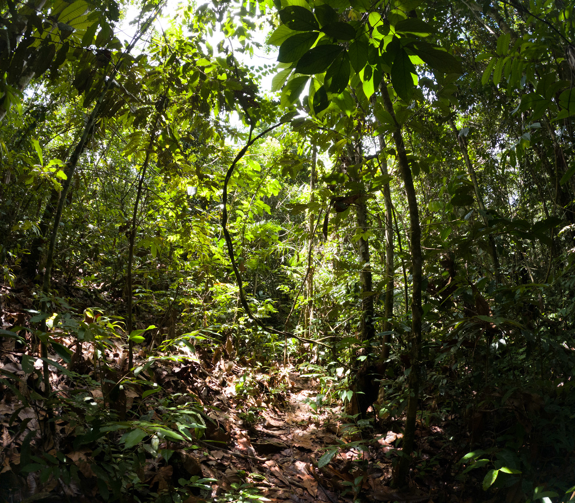 C:\DCIM\100GOPRO\GOPR2423.GPR