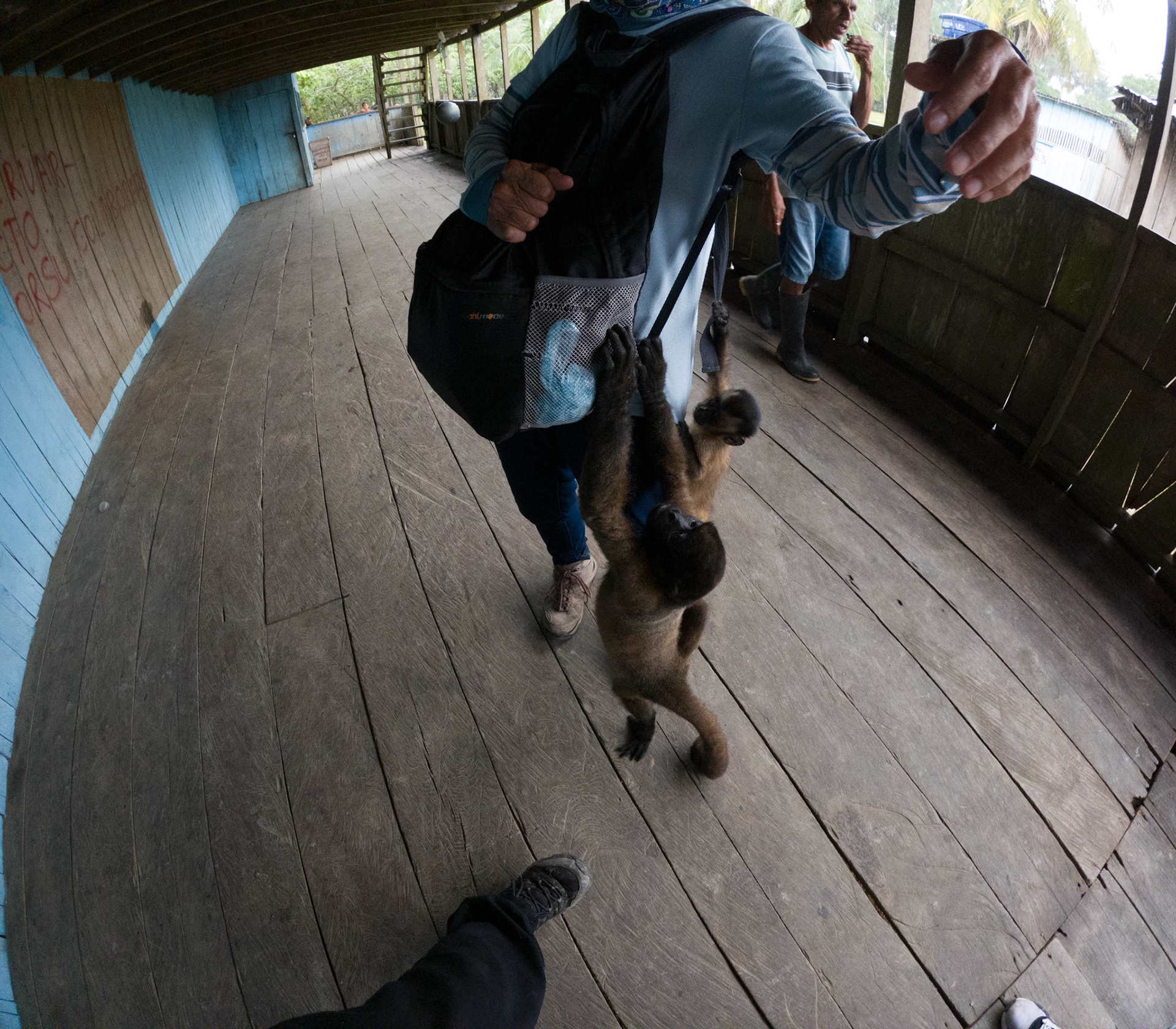 C:\DCIM\100GOPRO\GOPR2526.GPR