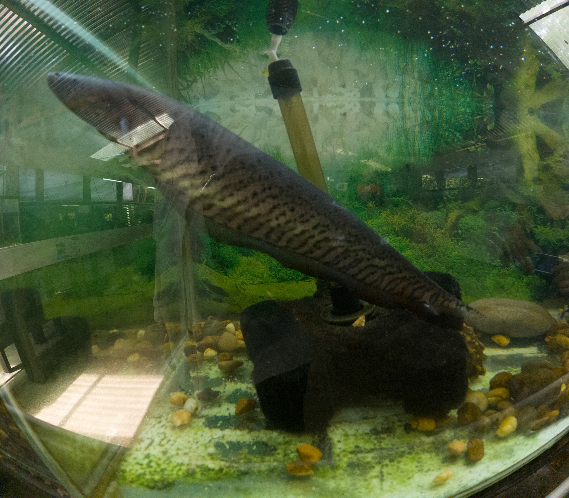 C:\DCIM\100GOPRO\GOPR2436.GPR