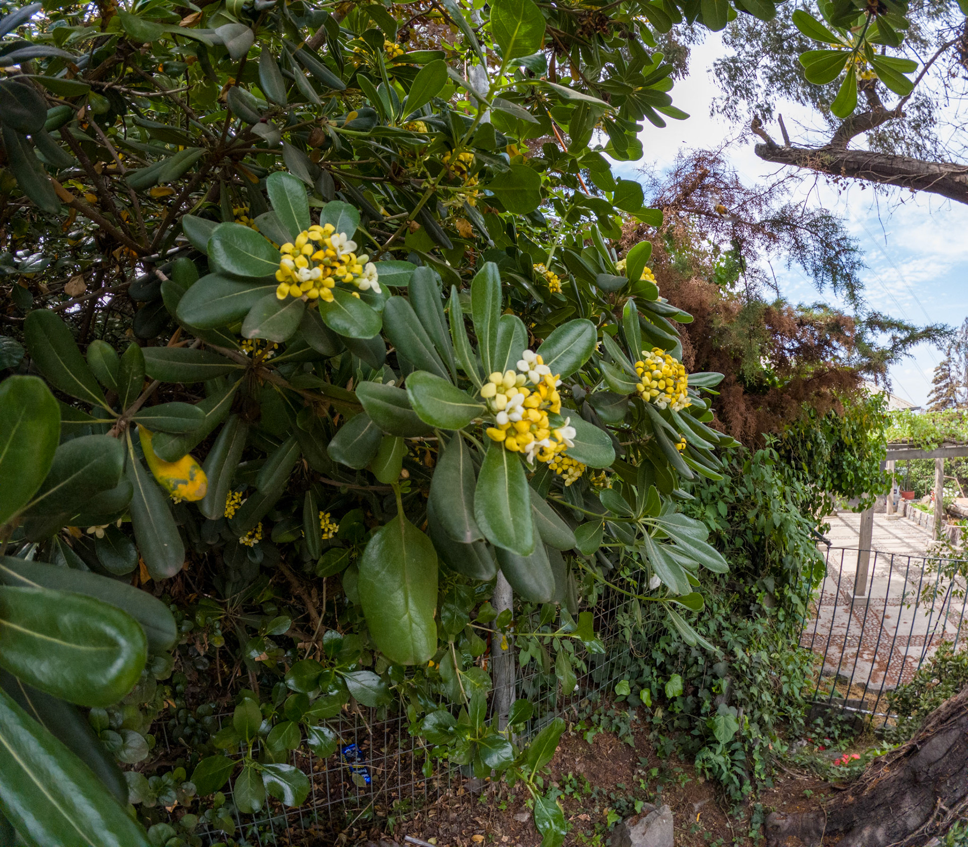 C:\DCIM\100GOPRO\GOPR0709.GPR