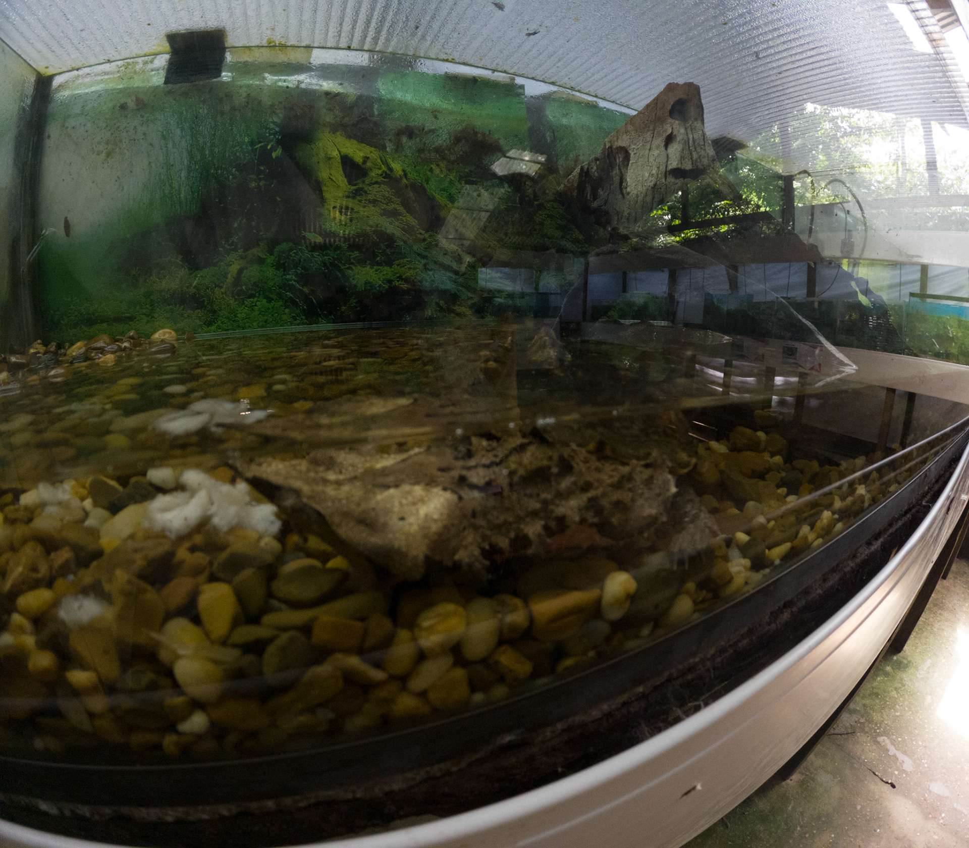 C:\DCIM\100GOPRO\GOPR2437.GPR