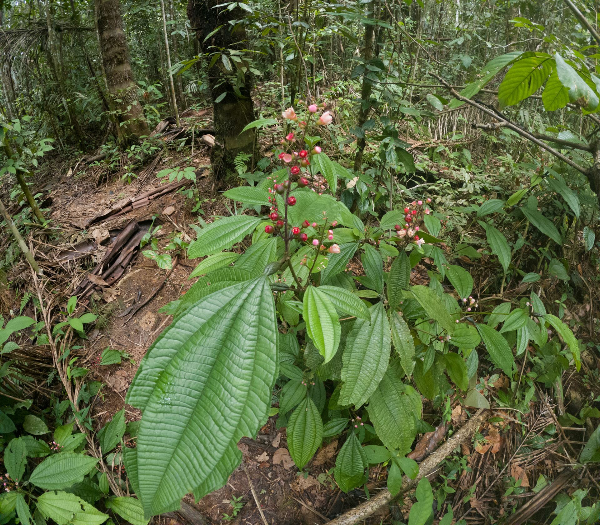 C:\DCIM\100GOPRO\GOPR2428.GPR