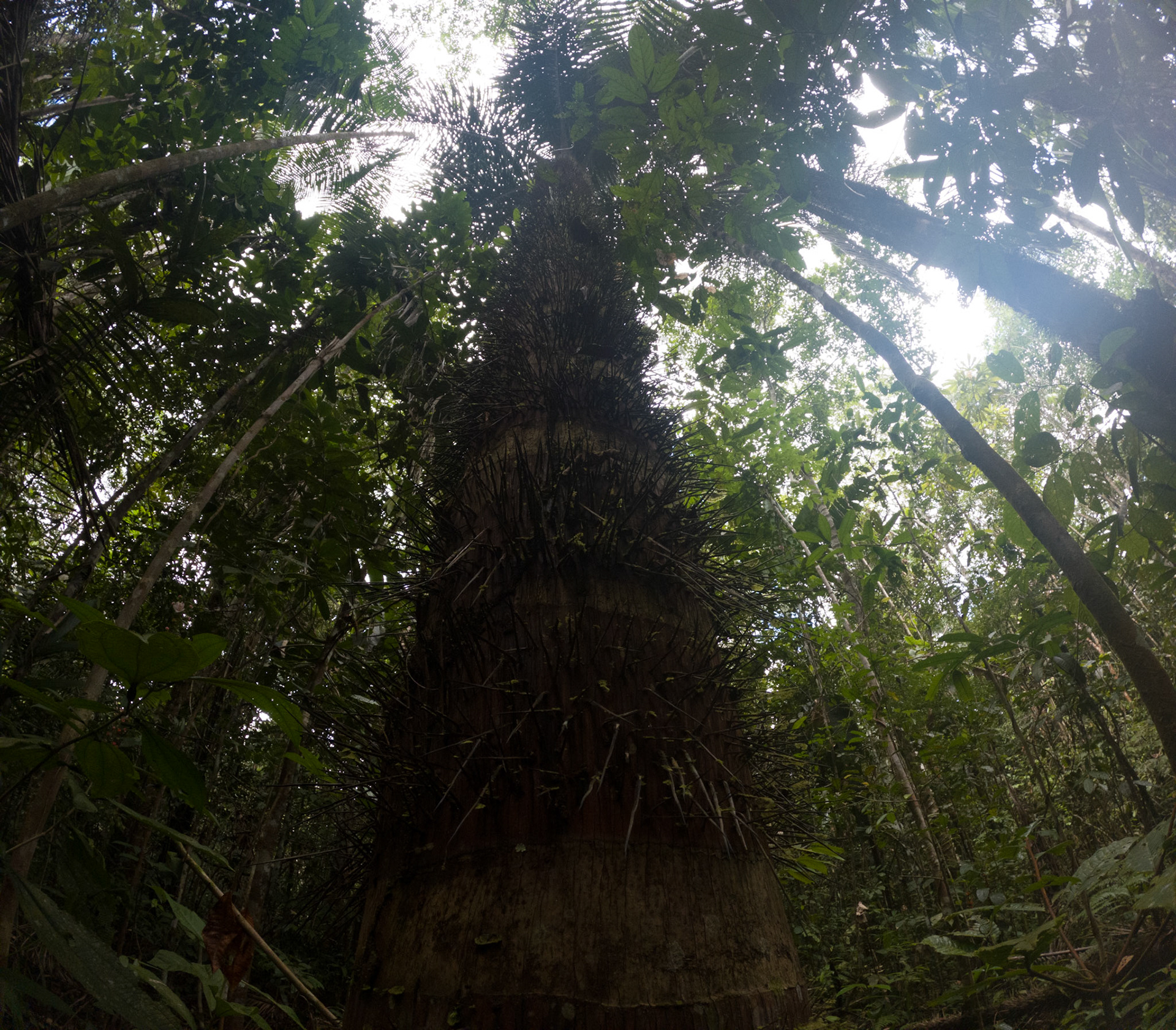 C:\DCIM\100GOPRO\GOPR2429.GPR