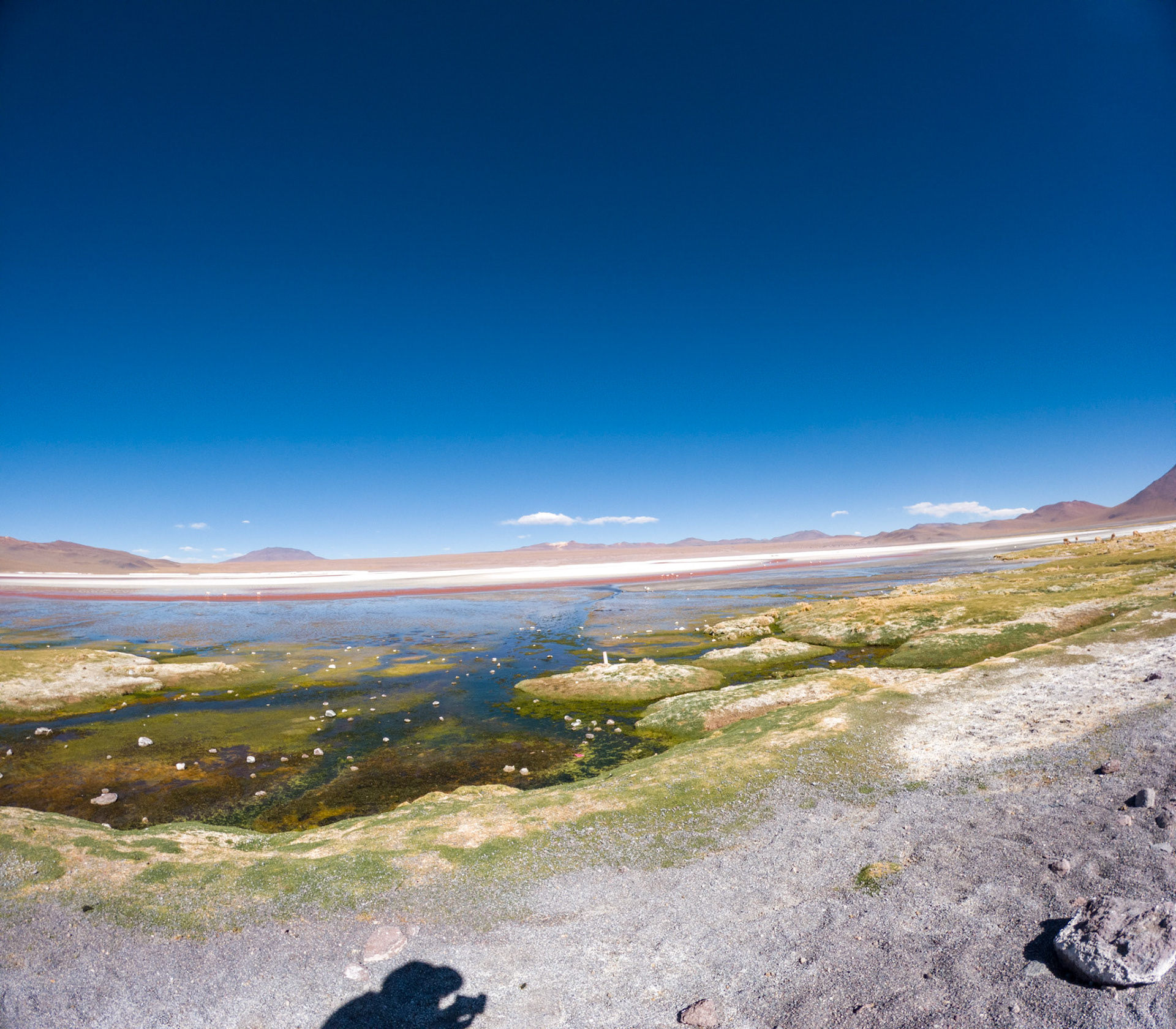 C:\DCIM\100GOPRO\G0011365.GPR