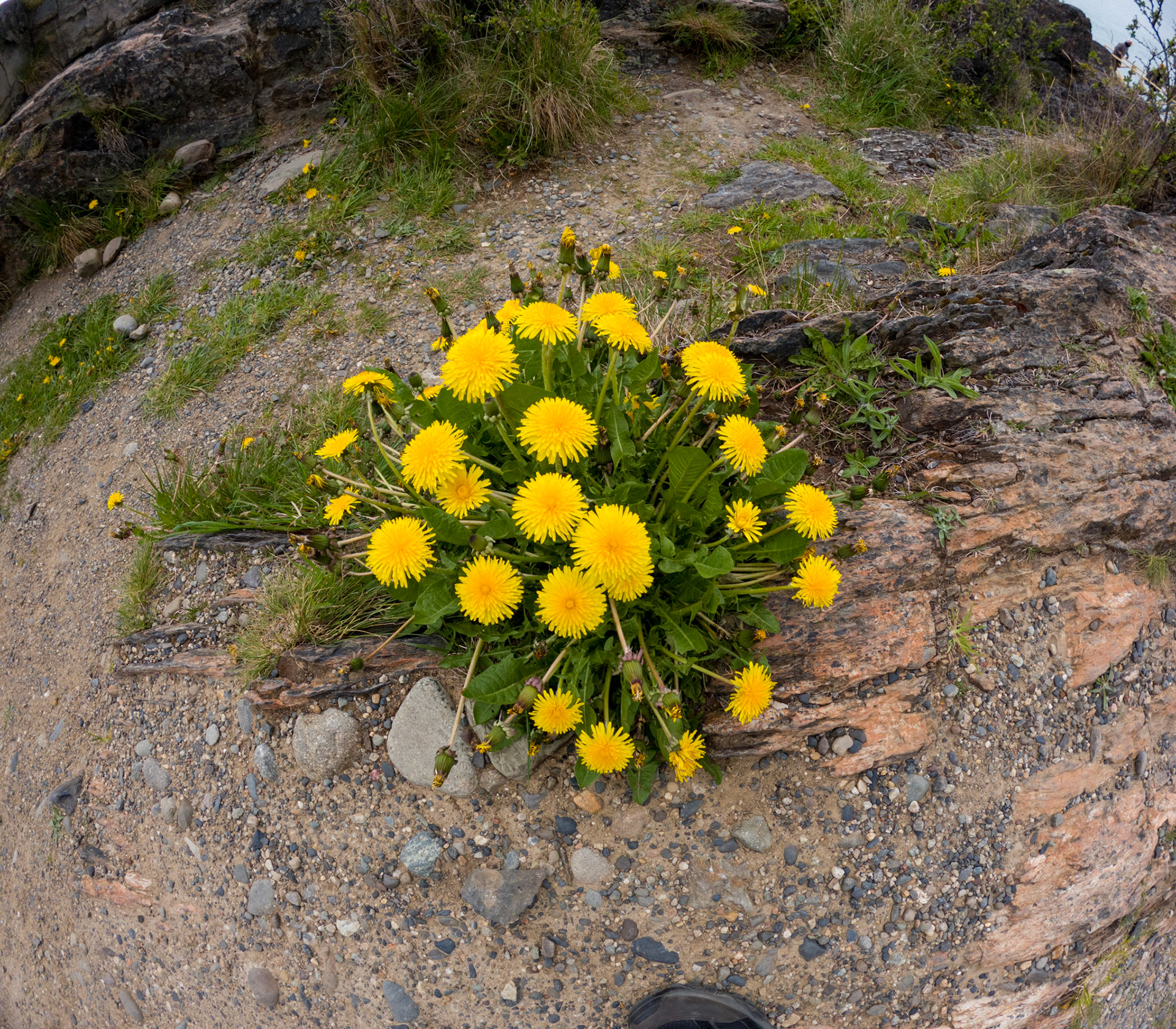 C:\DCIM\100GOPRO\GOPR0788.GPR