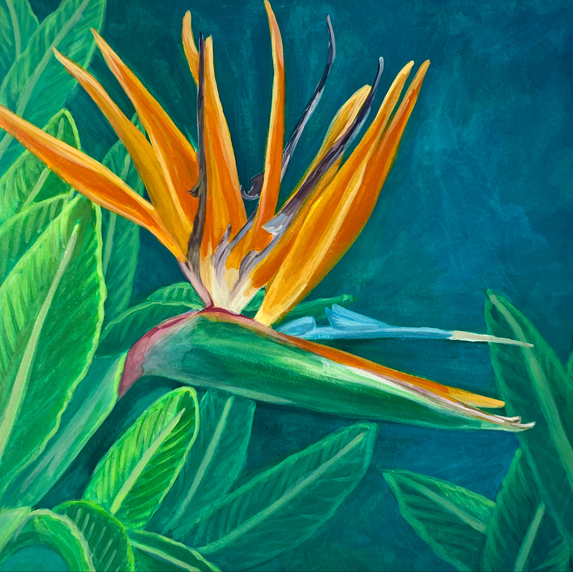 Bird of Paradise, Gouache, 6x6 in. (2024)