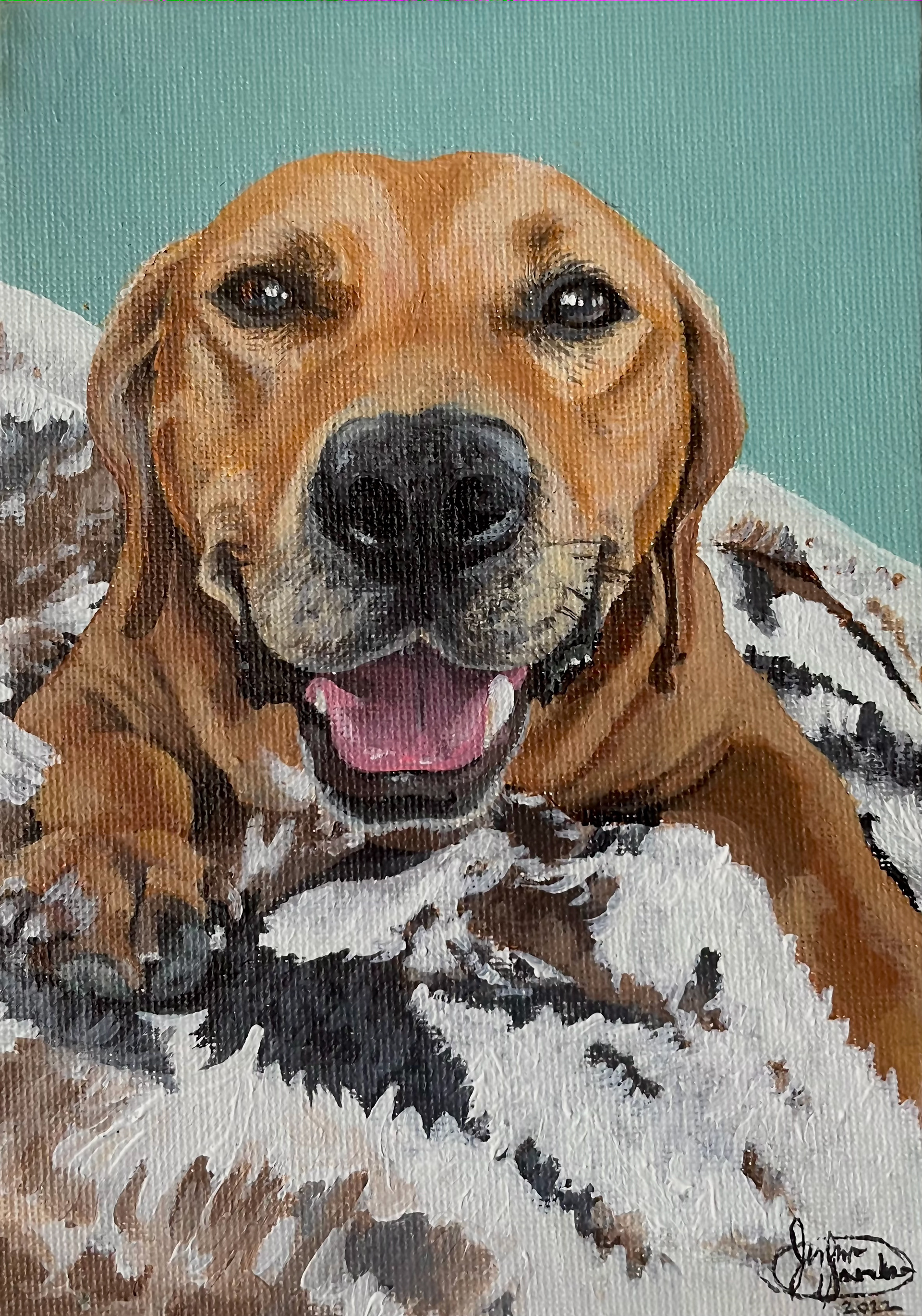 Untitled Pup, 5x7 in. (2022)