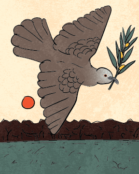 Two Turtle Doves