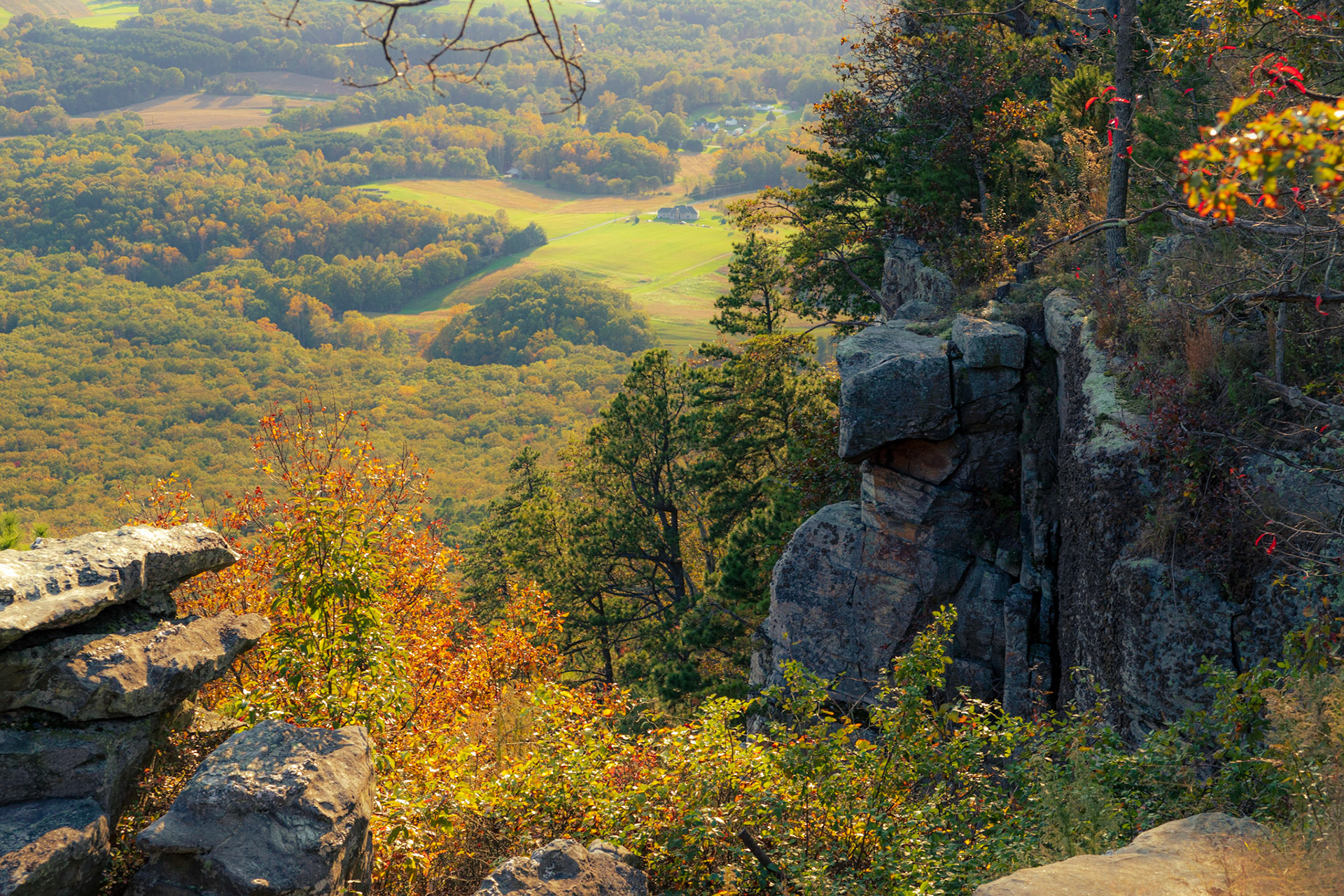 An image with large rocks in the foreground and fall foliage in the background.