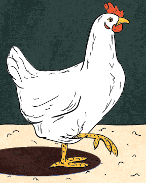 Three French Hens