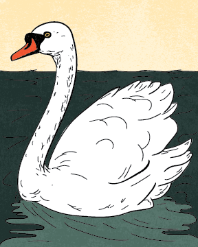Seven Swans A-Swimming