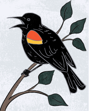 Four Calling Birds
