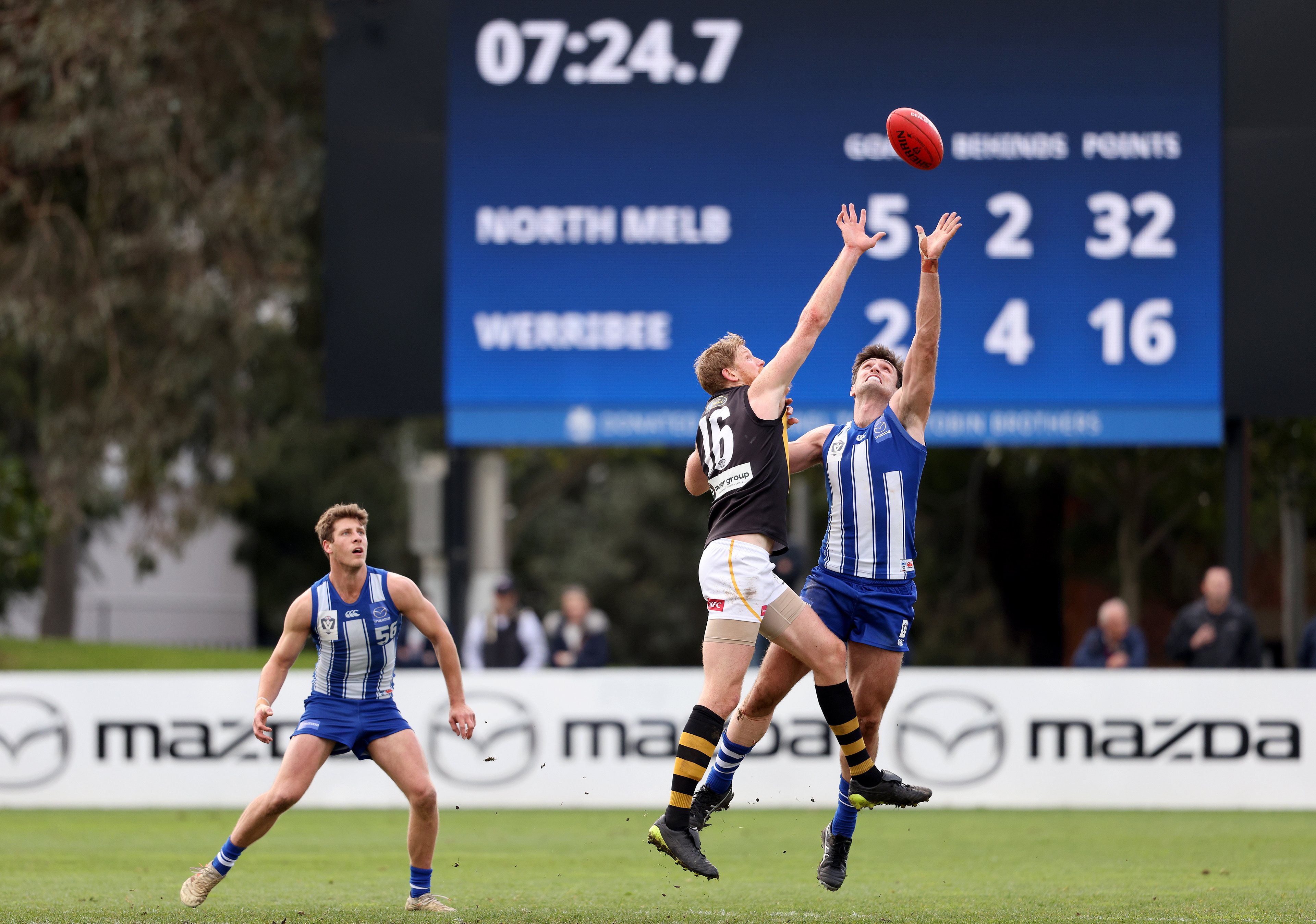 North Melbourne FC / 12mm, 6.144mW x 3.2mH