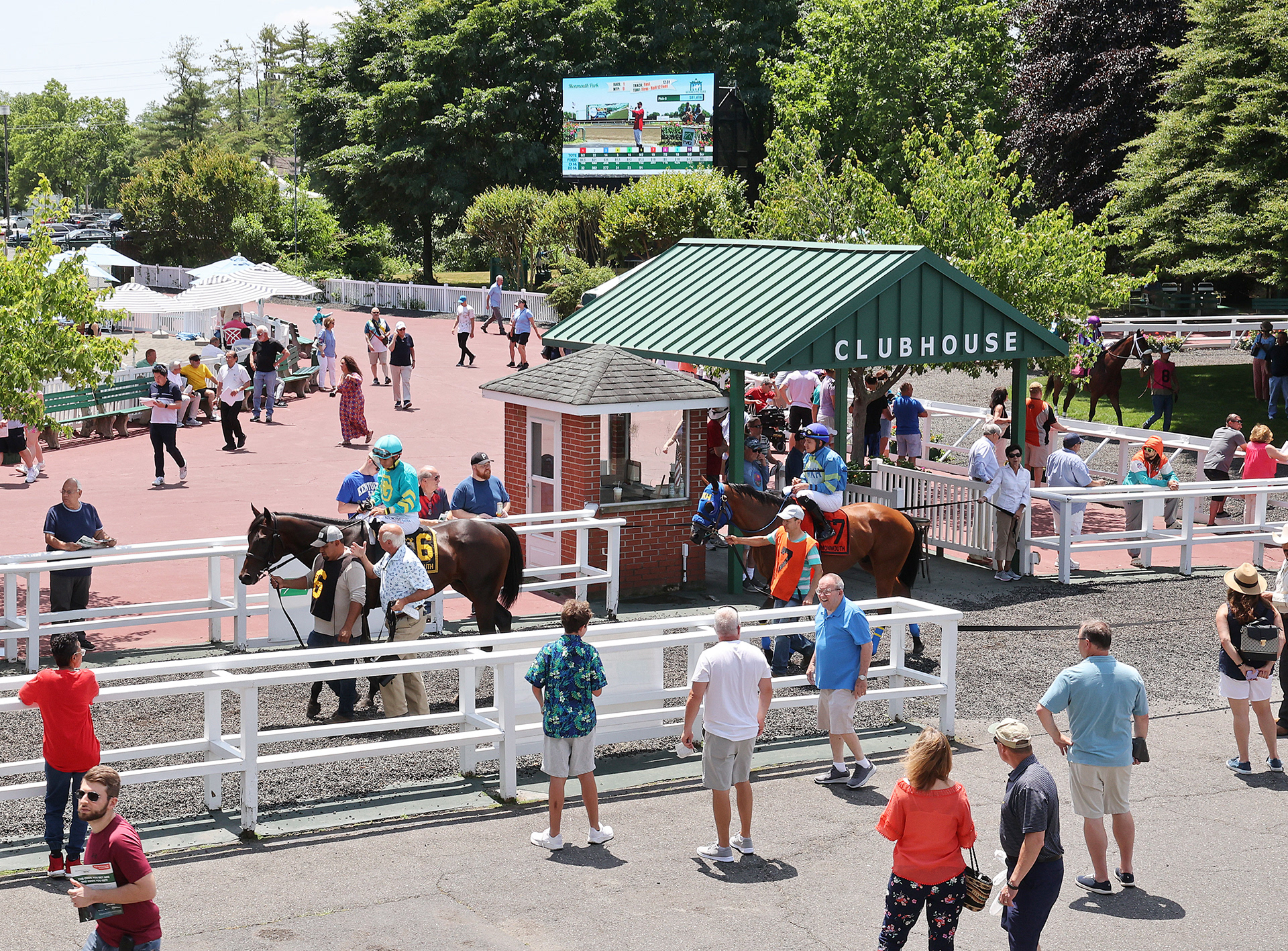Monmouth Park, NJ / 10mm, 5.76mW x 3.2mH