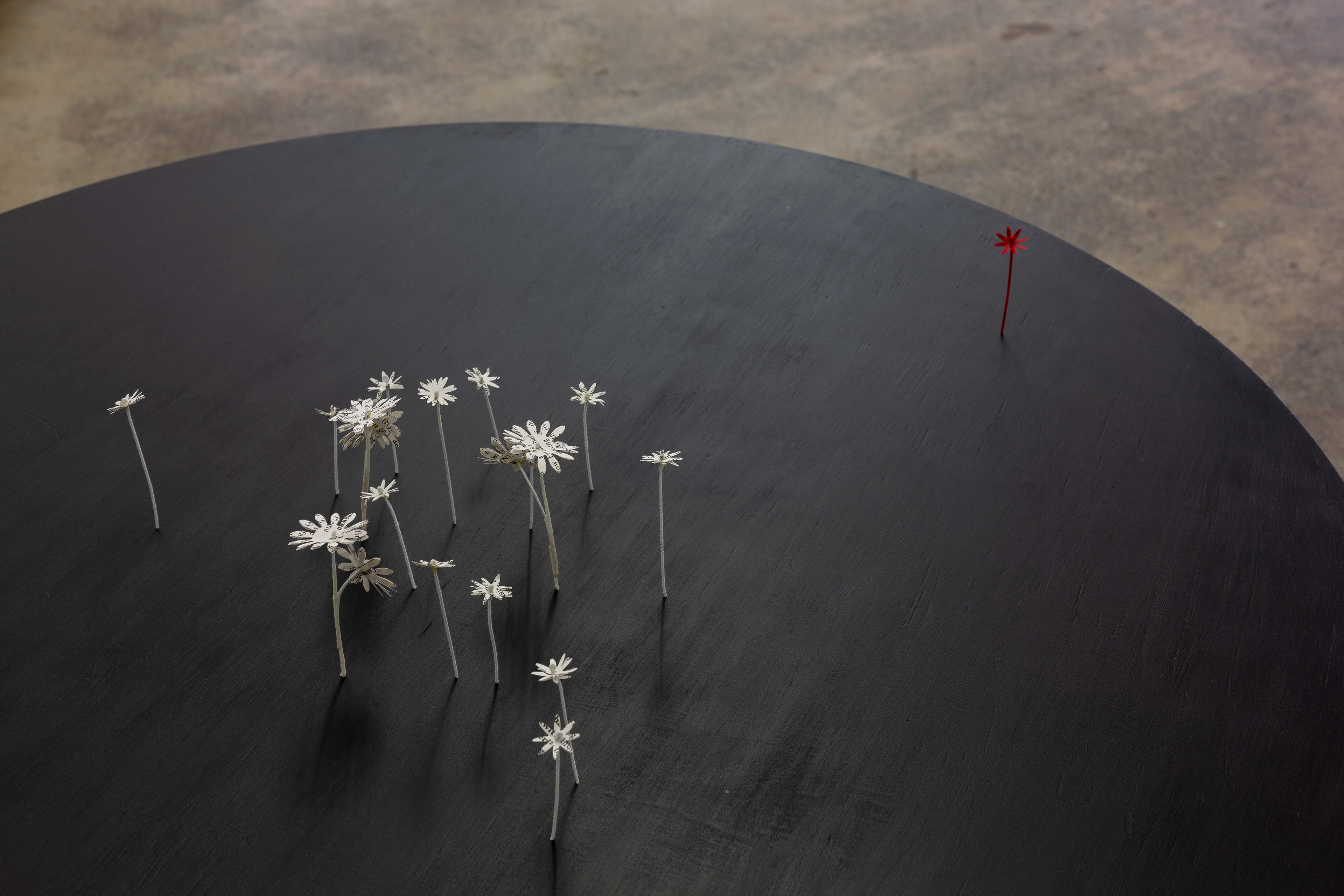 installation view, Firstdraft, Sydney. Photo: Jessica Maurer