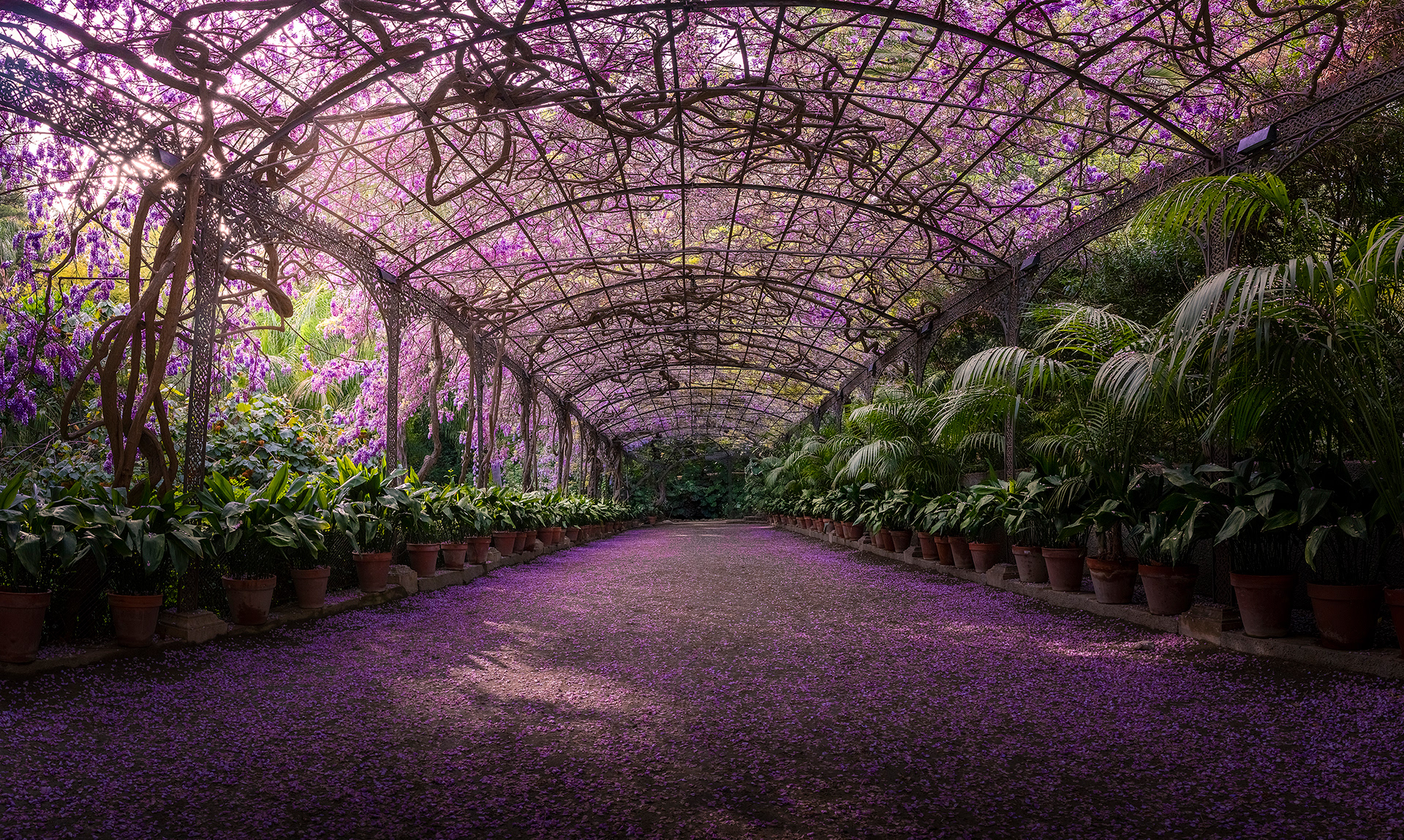 Jardín de la Concepción