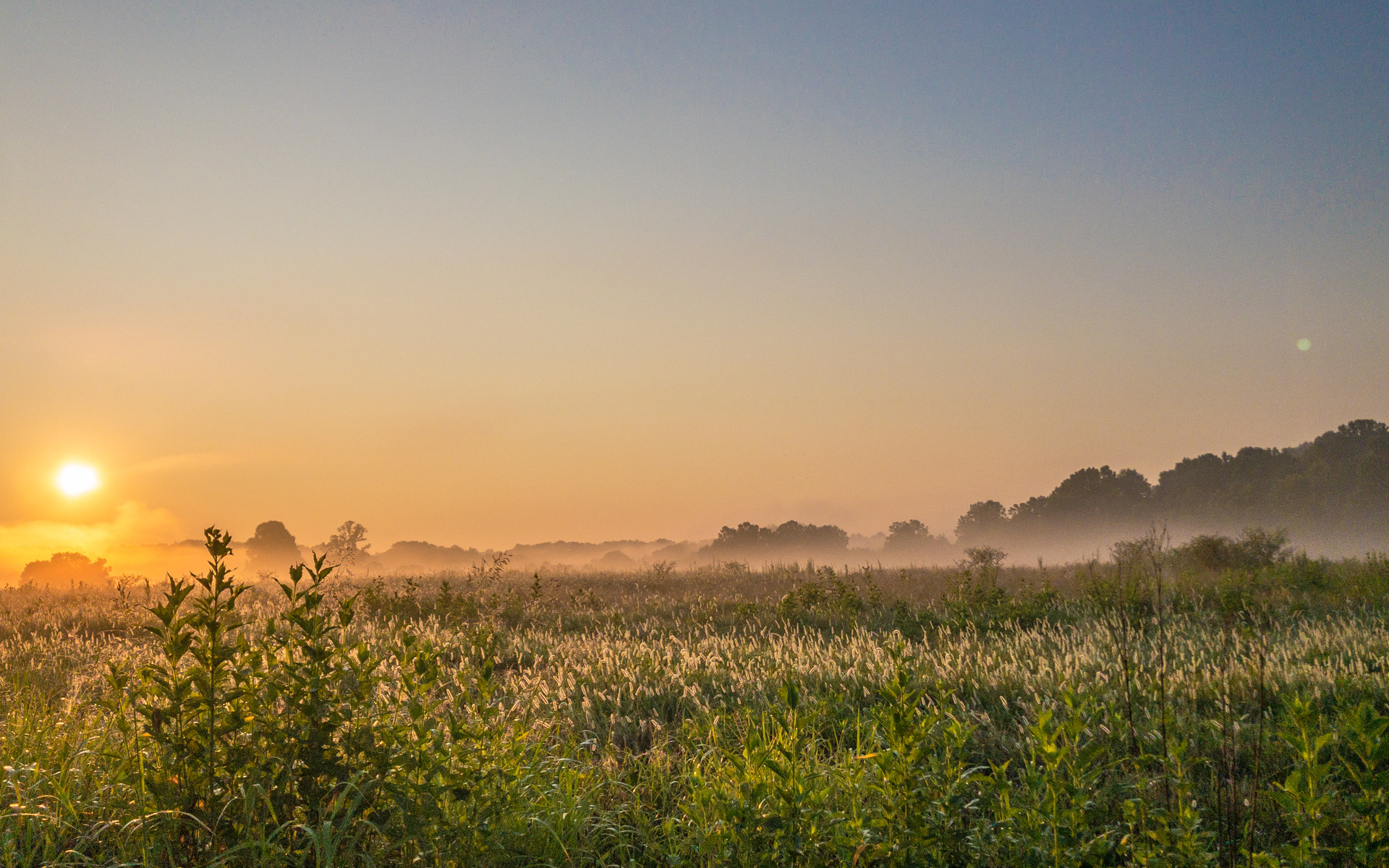 Early Morning, Orange County