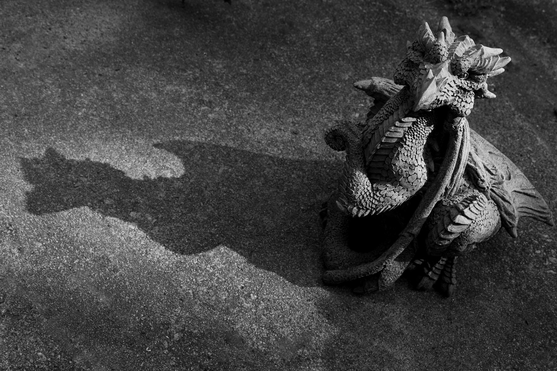 My Neighbor's Dragon