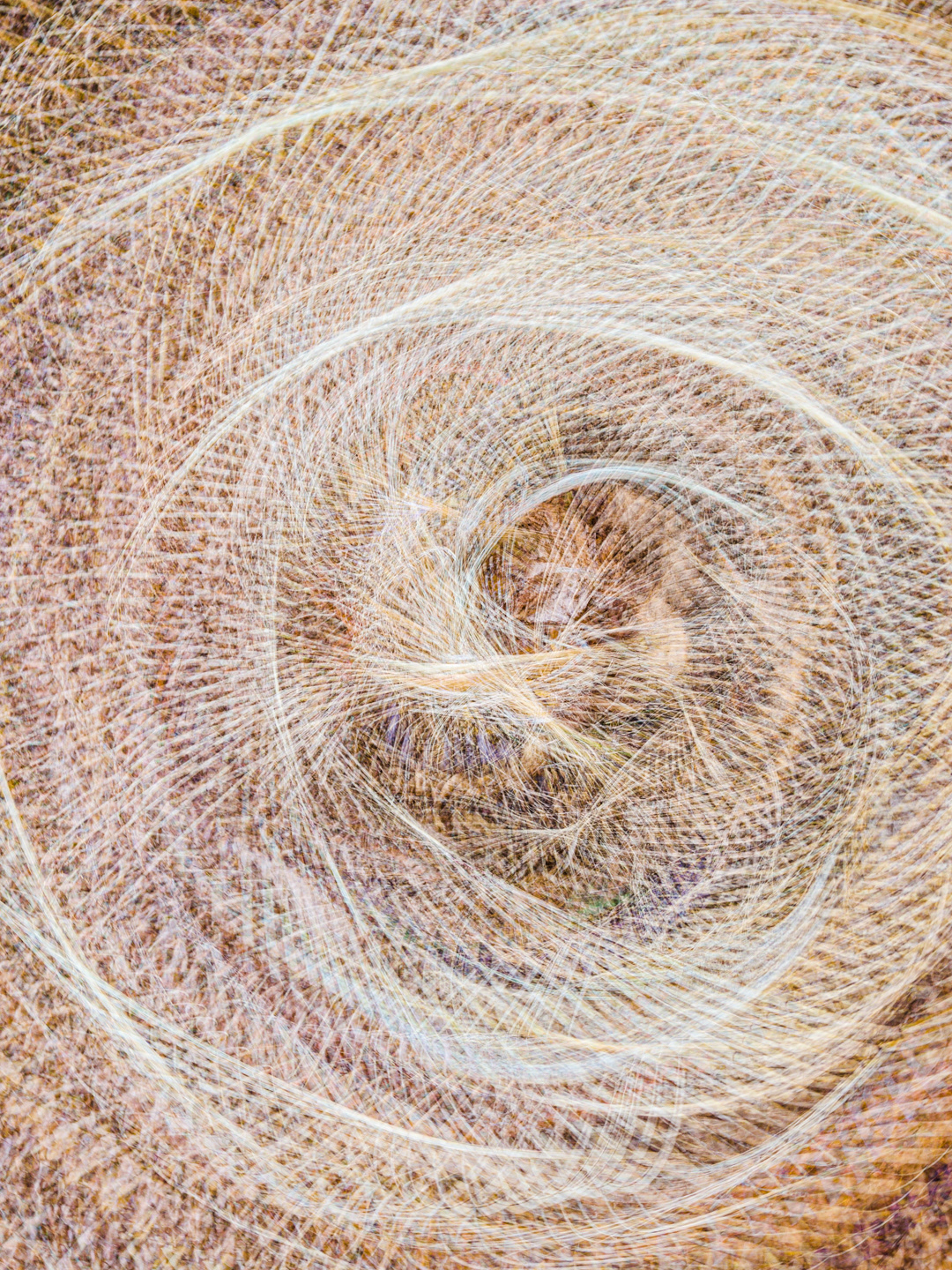 Homage to Ruth Asawa