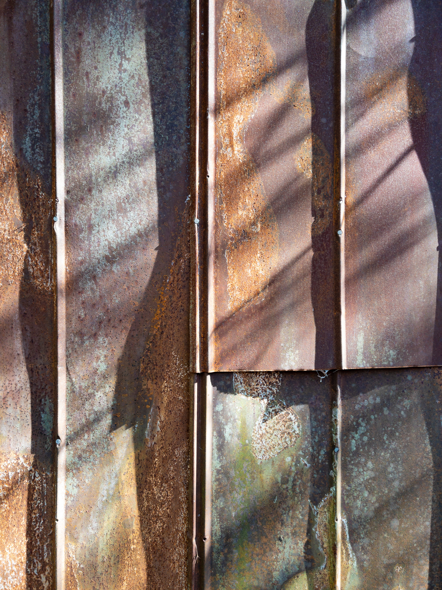 Weathered Fence, Occoneechee Speedway