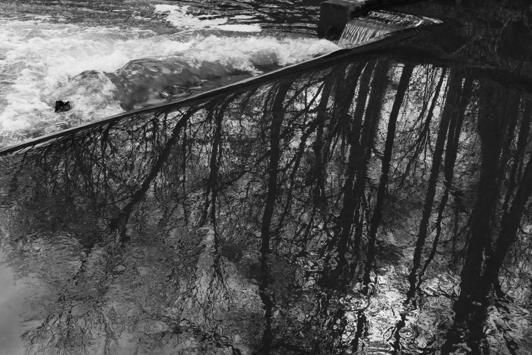 Eno River Dam, Hillsborough, NC