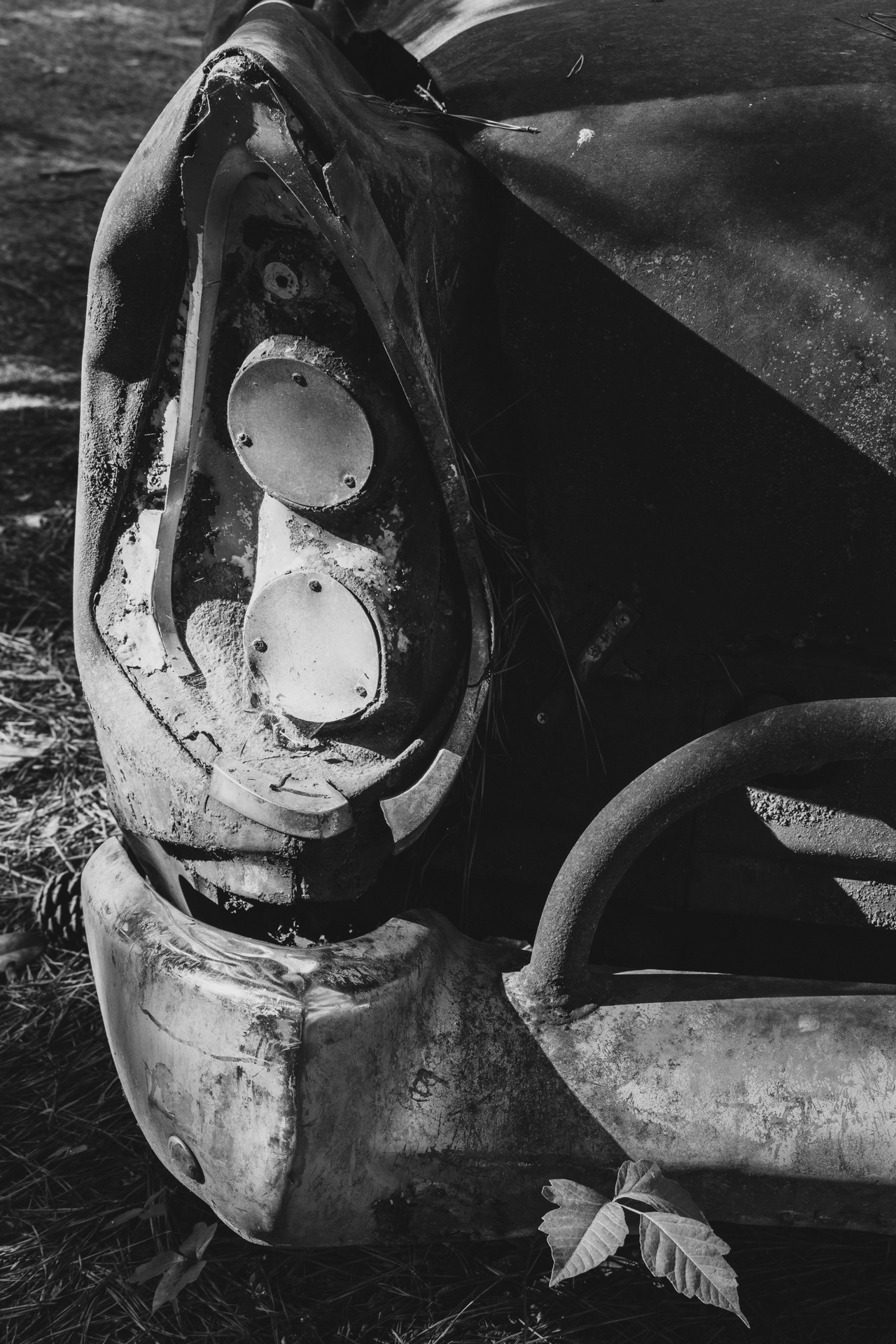 Race Car Tail Light and Poison Ivy, Occoneechee Speedway