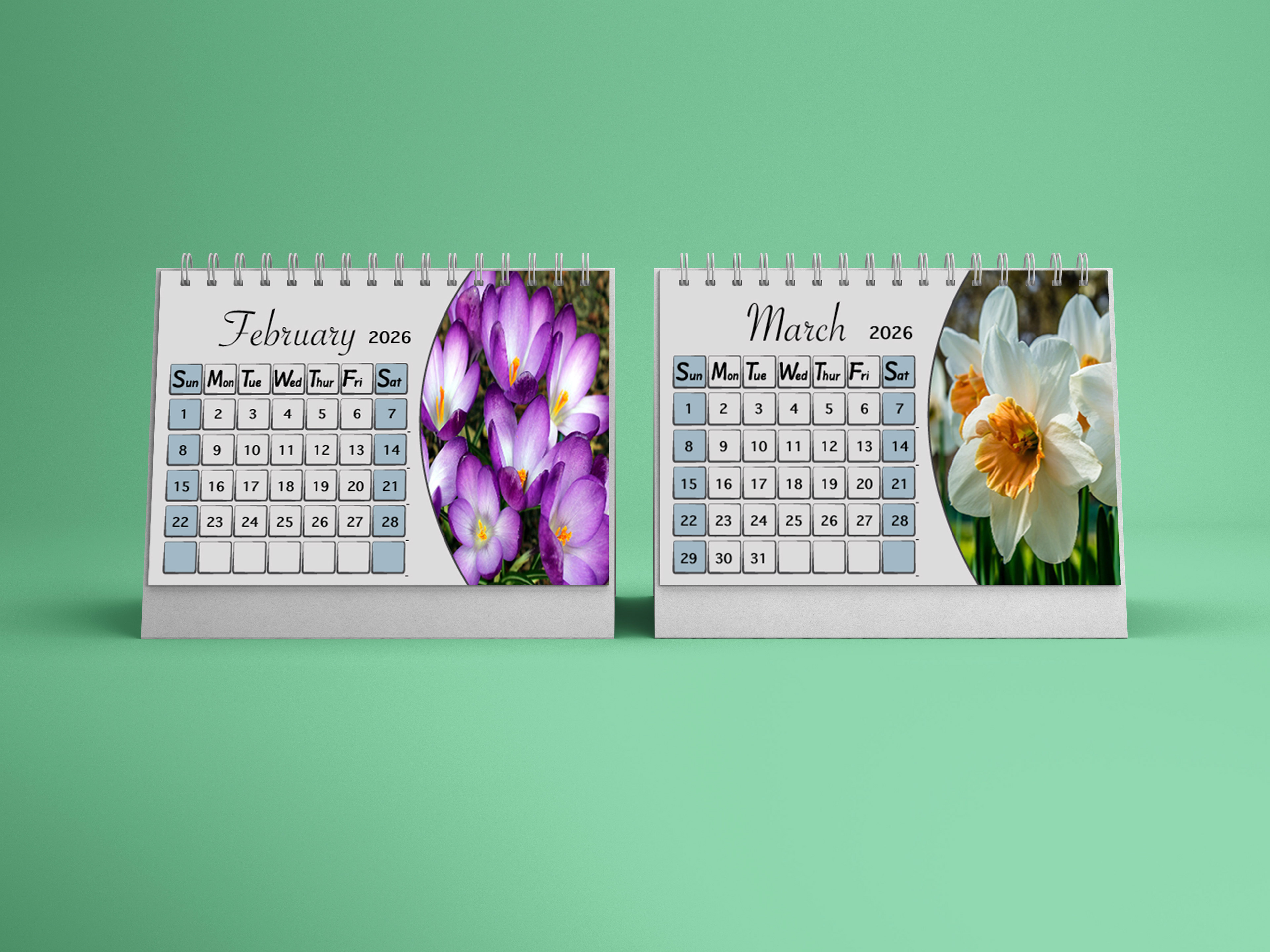 Meijer Generic Desk Calendar Product Placement