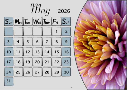 Meijer Generic Desk Calendar Design for May