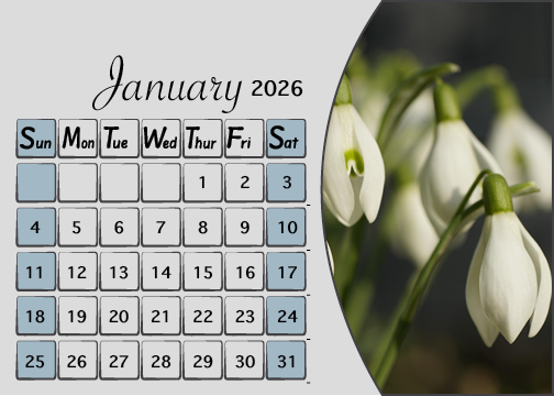 Meijer Generic Desk Calendar Design For January