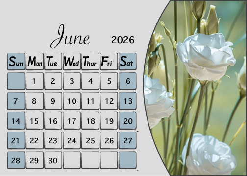 Meijer Generic Desk Calendar Design for June