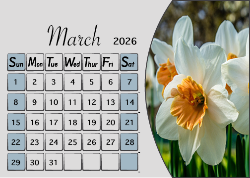 Meijer Generic Desk Calendar Design For March