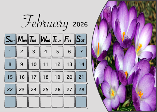 Meijer Generic Desk Calendar  Design For February