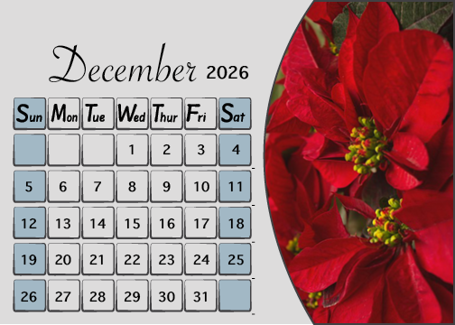 Meijer Generic Desk Calendar Design for December 