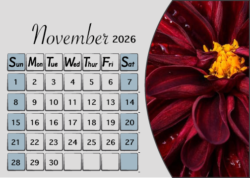 Meijer Generic Desk Calendar Design for November