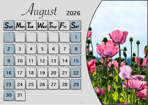 Meijer Generic Desk Calendar Design for August 