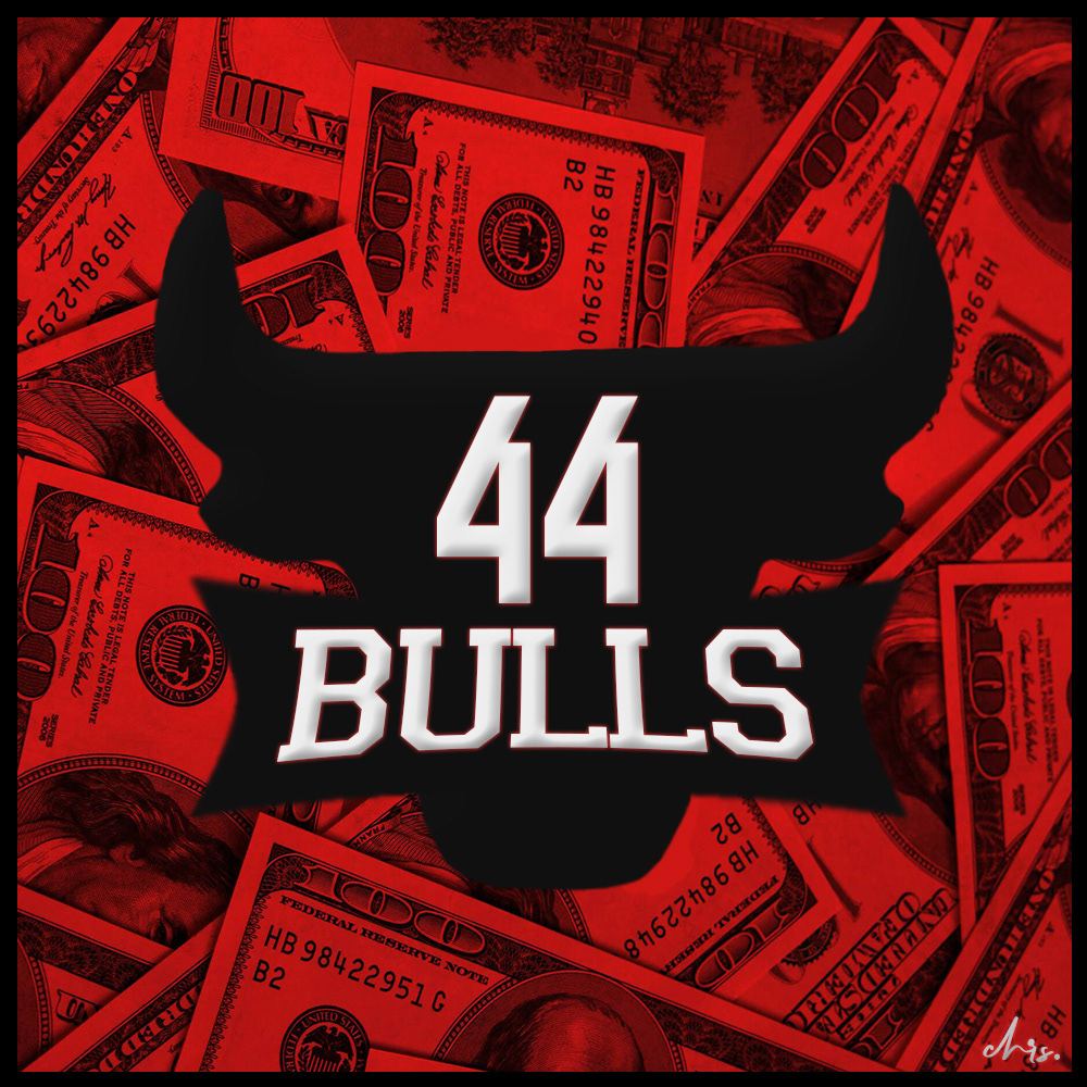44 Bulls Logo
