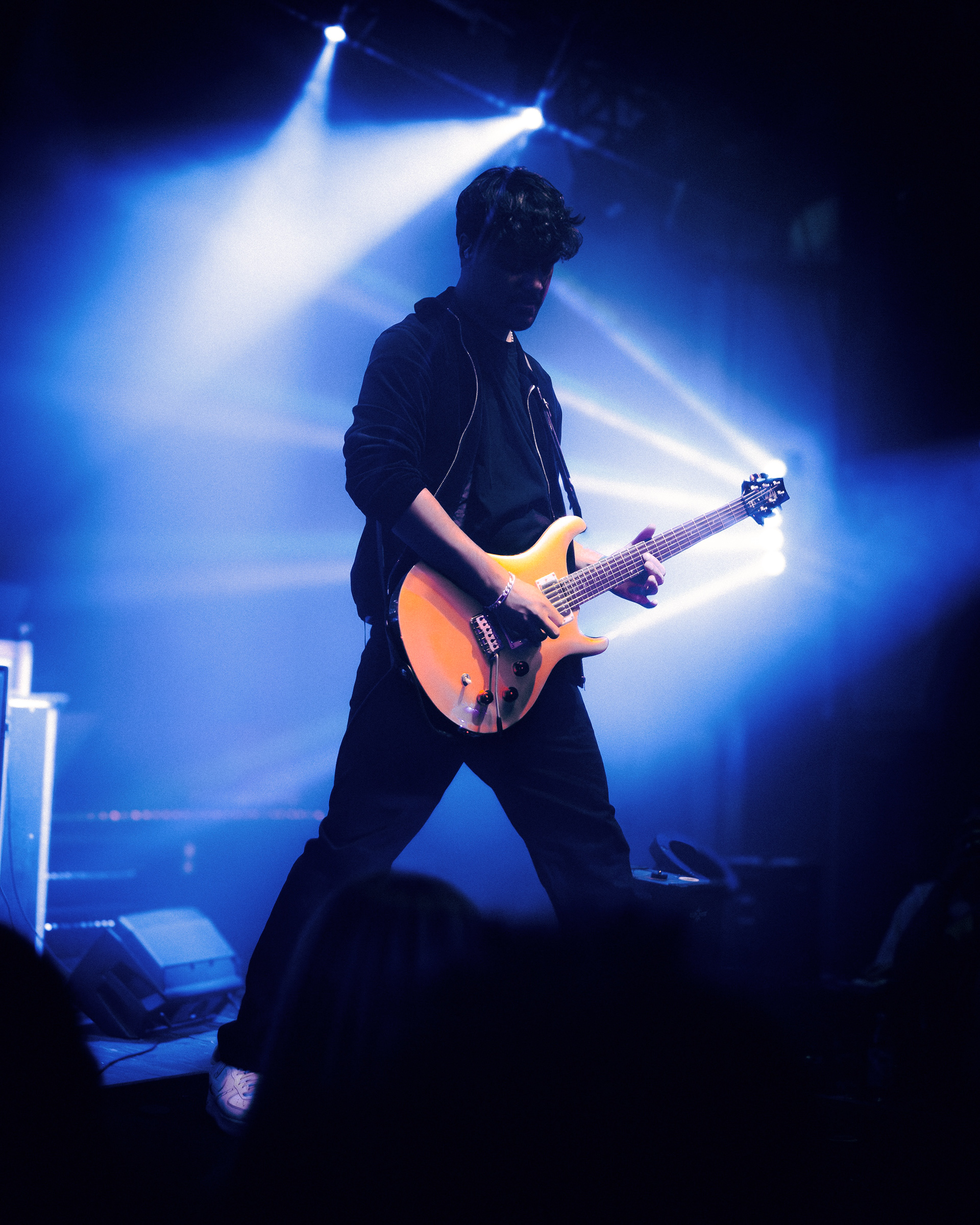 Fritz Bergmann - Guitarist