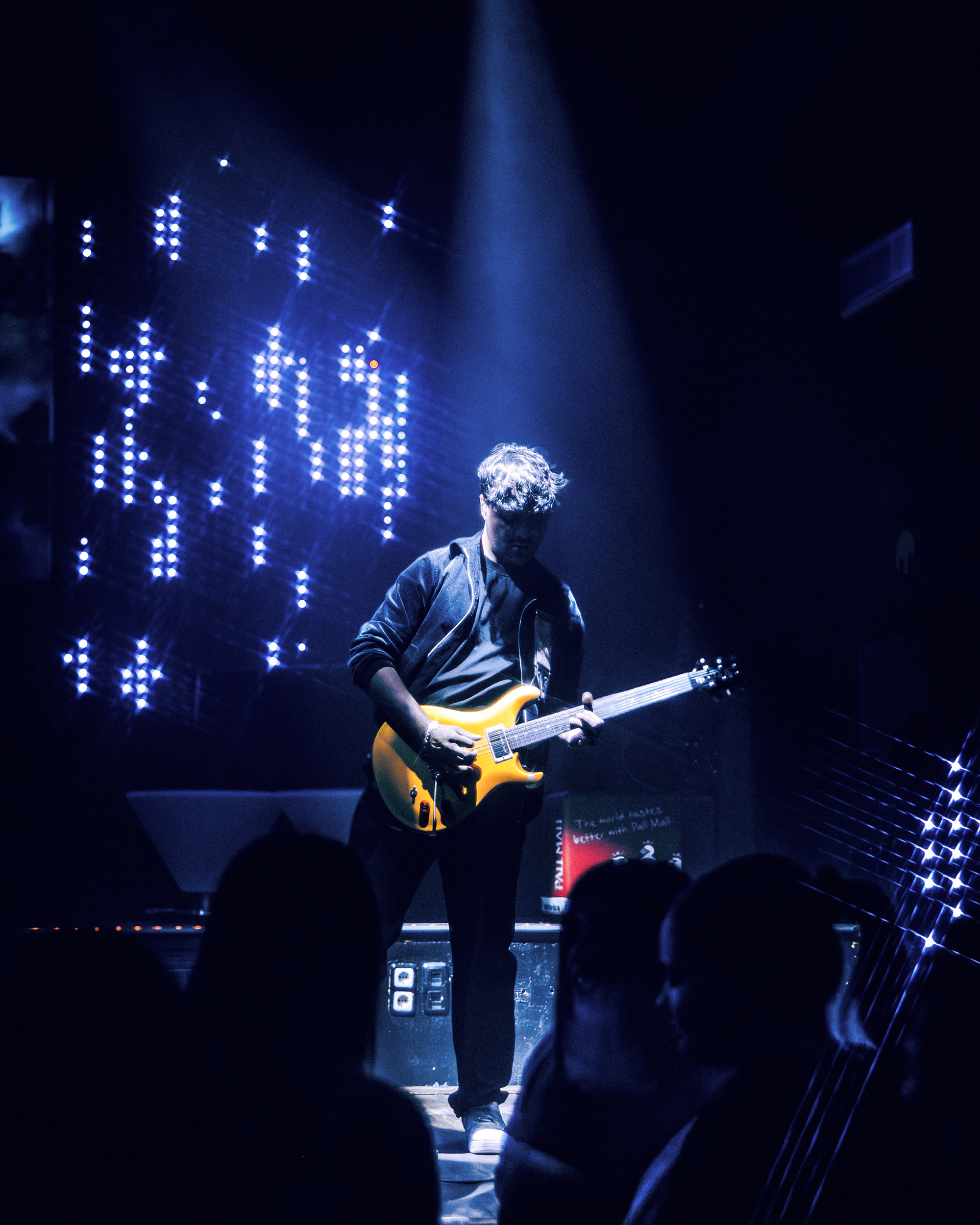 Fritz Bergmann - Guitarist