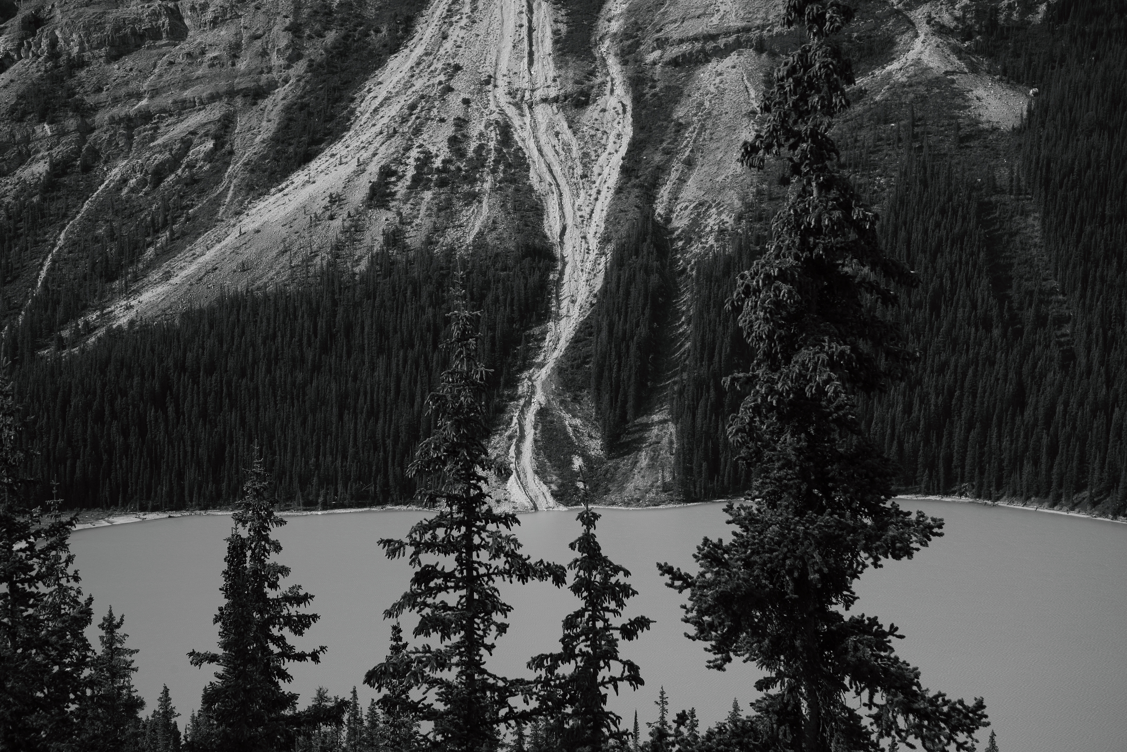 Peyto Lake