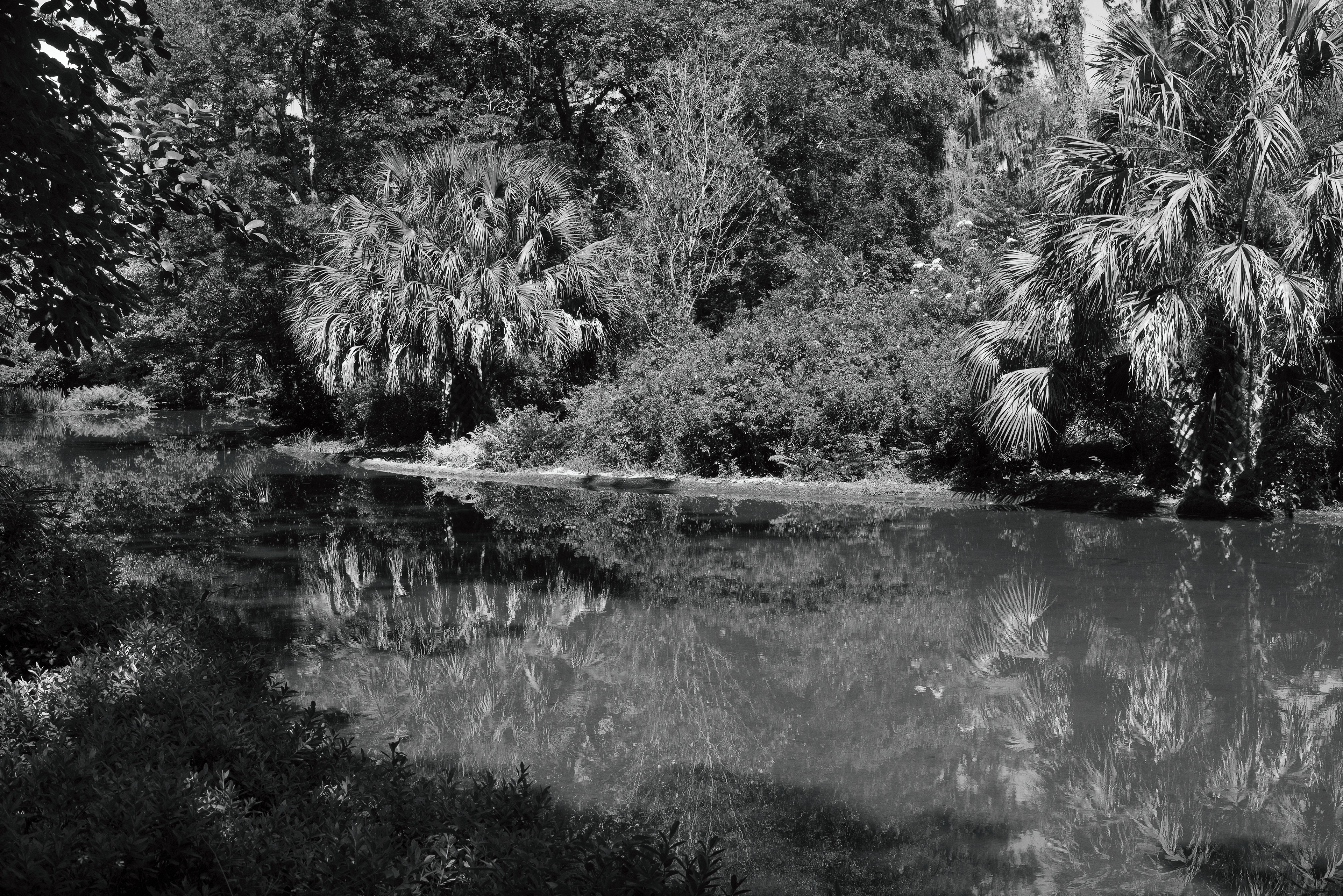 Wakulla Springs