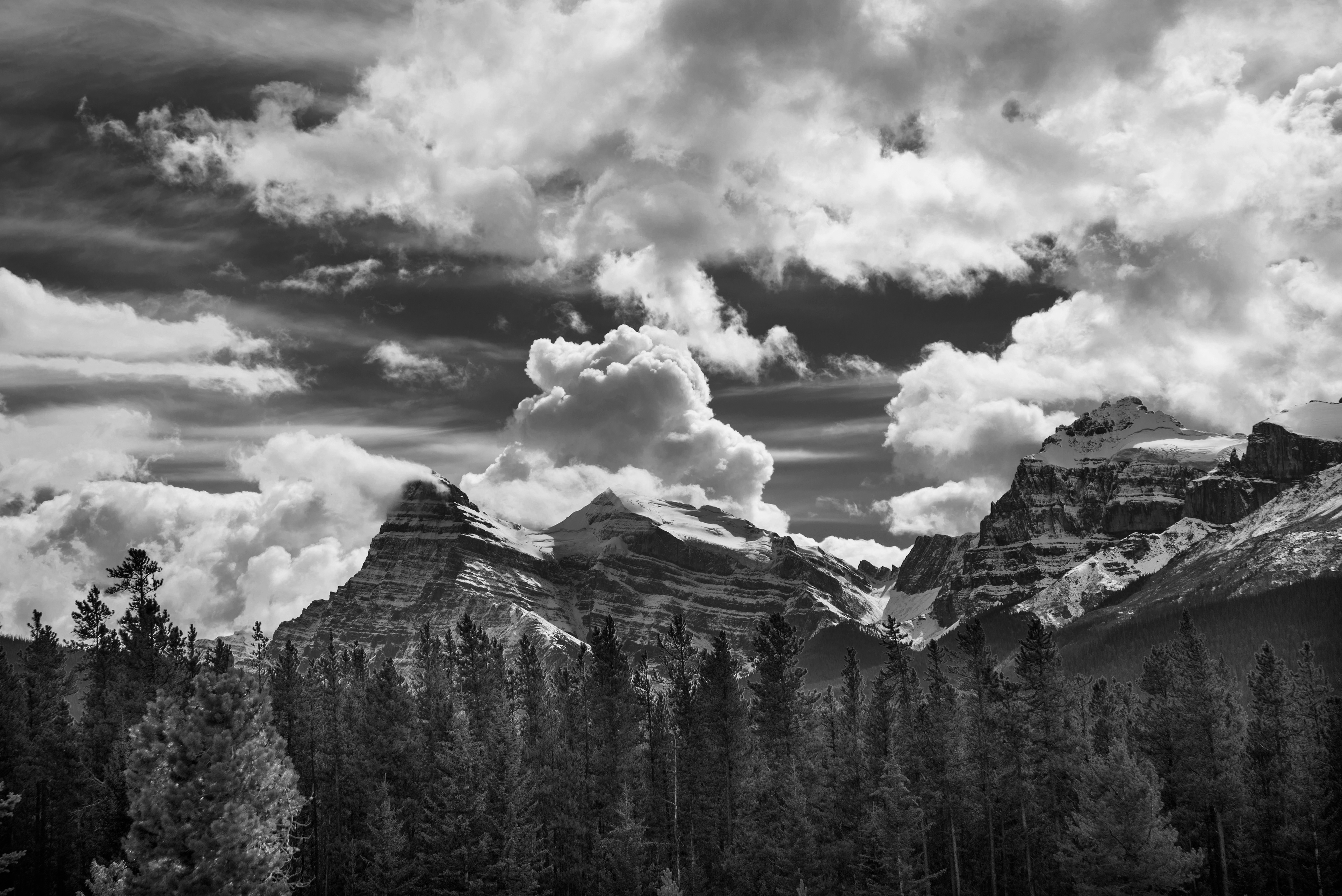 Canadian Rockies near Jasper