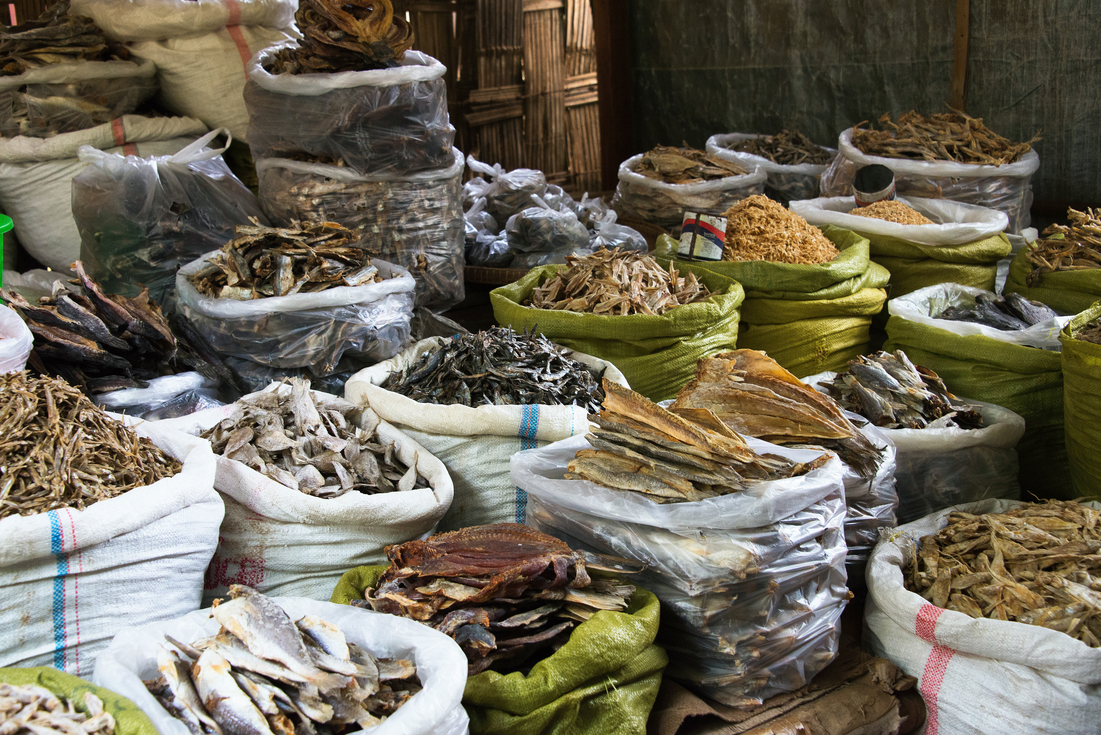Dried Fish Market