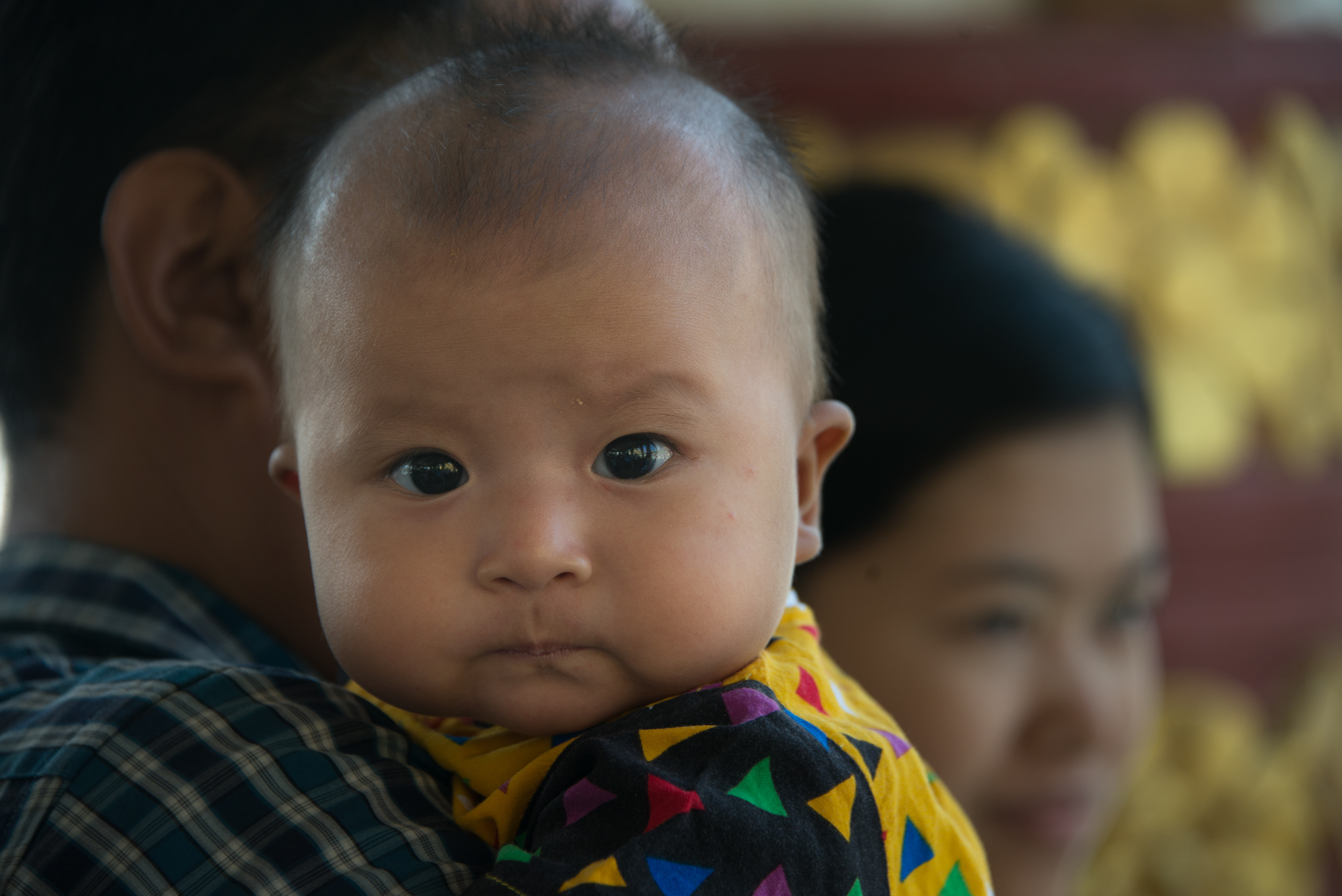 Curious Infant